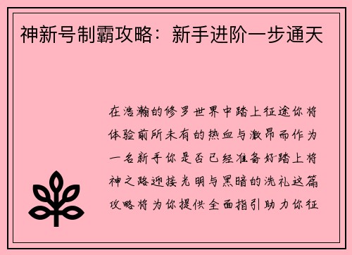 神新号制霸攻略：新手进阶一步通天
